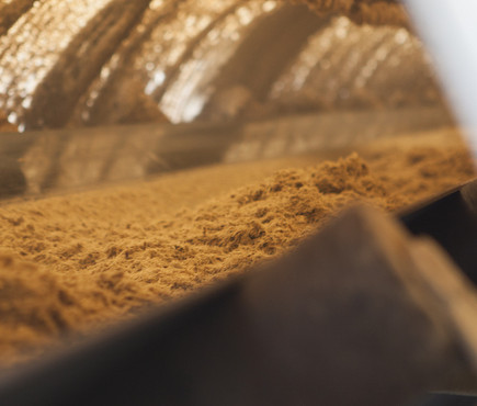 Produire de l'électricité à partir de la bagasse