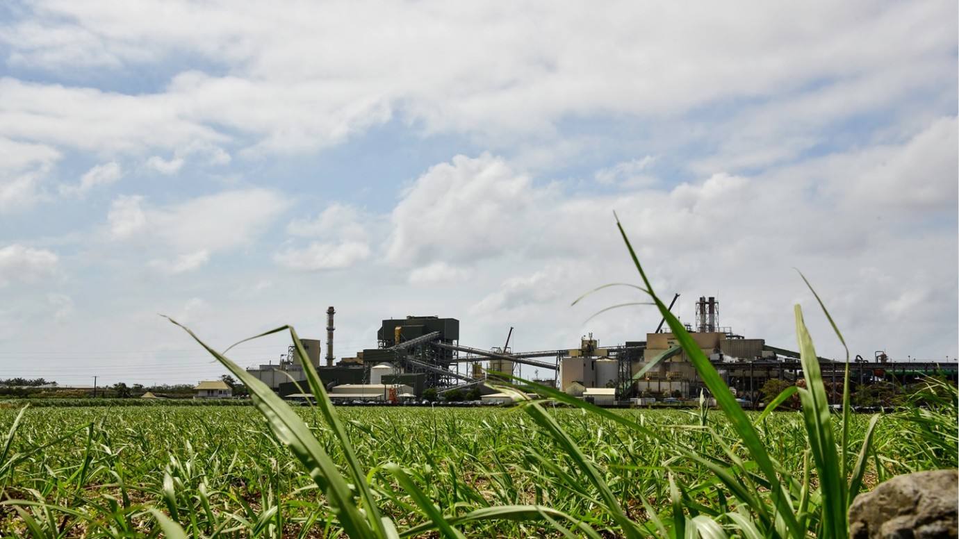 Albioma’s international development, leverage for accelerating renewable electricity production