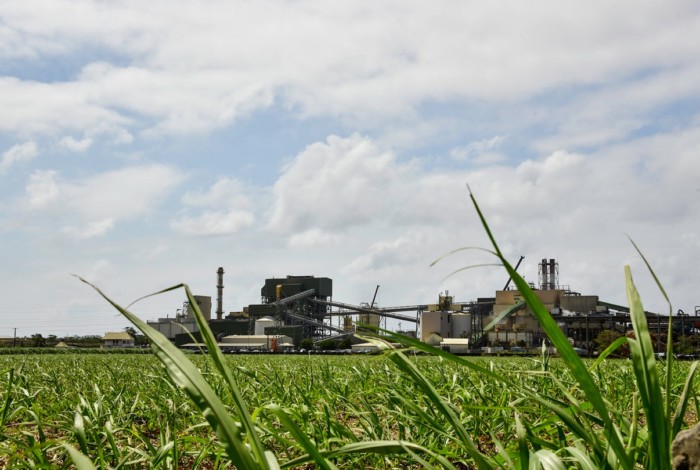 Albioma’s international development, leverage for accelerating renewable electricity production