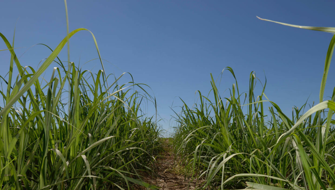 It’s time to change energy! Let’s begin with biomass.