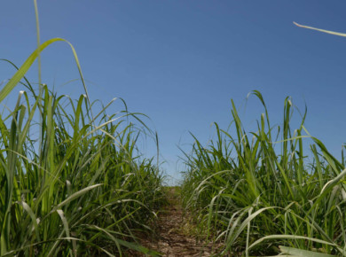 It’s time to change energy! Let’s begin with biomass.