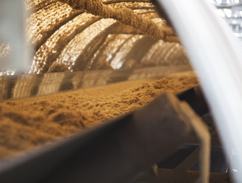 Convoyeur bagasse, biomasse albioma centrale thermique