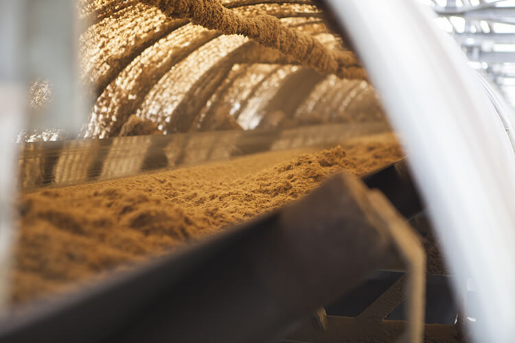 Bagasse conveyor – Albioma Le Moule – Guadeloupe