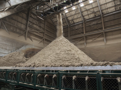 Hangar à bagasse centrale thermique Albioma Le Moule Guadeloupe