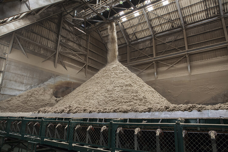 Bagasse shed – Albioma Le Moule – Guadeloupe