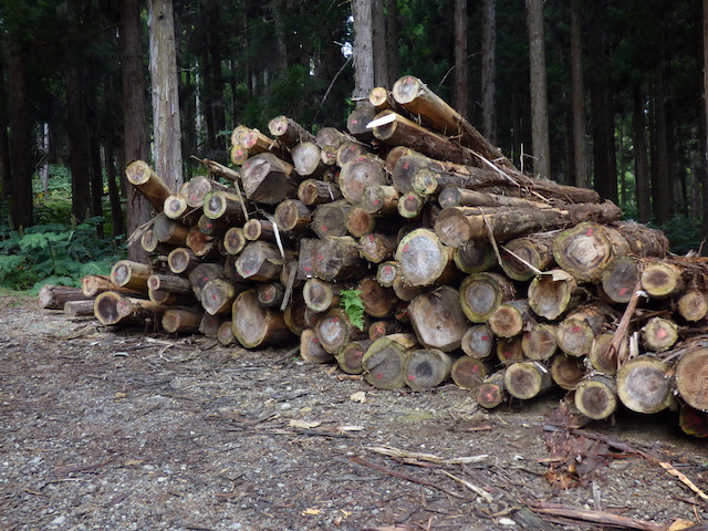 Bois issus de forêts de l'Ile de La Réunion