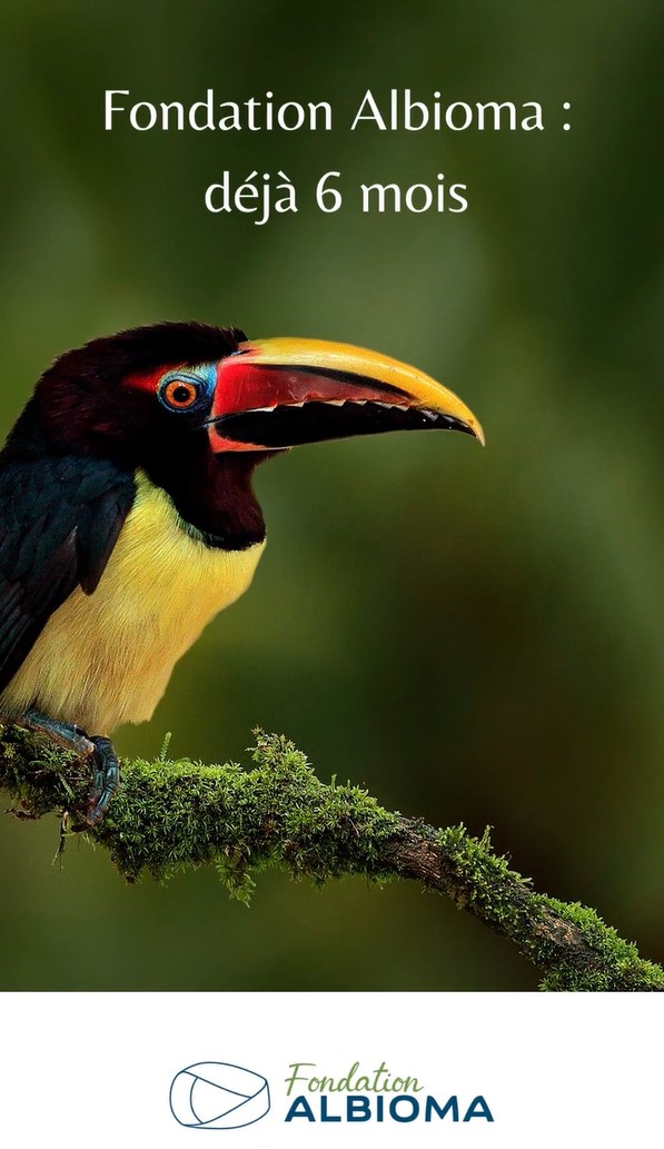 Biodiversité et insertion professionnelle