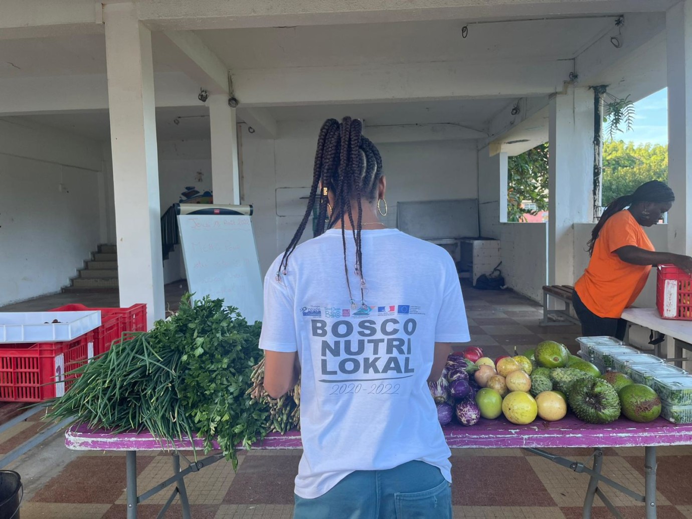 Insertion professionnelle