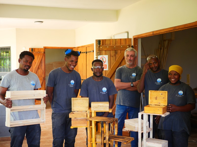 Insertion professionnelle