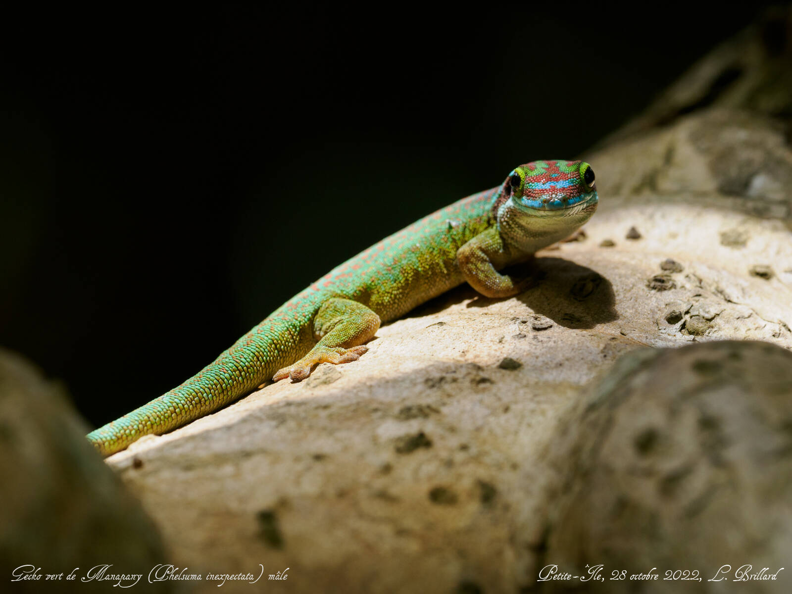 Préservation de la biodiversité