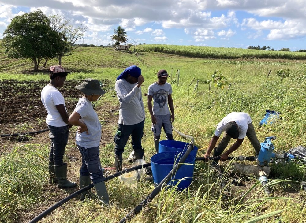 Insertion professionnelle