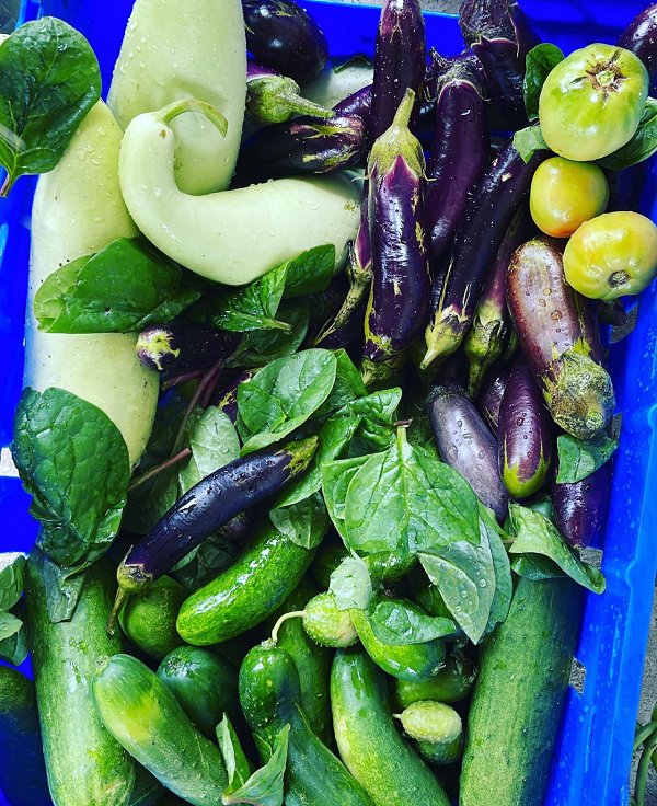 Insertion professionnelle