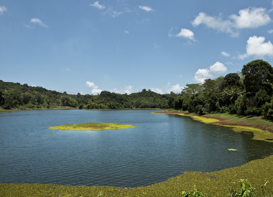 « C’est gratifiant de travailler pour une entreprise qui avance en cohérence avec les enjeux écologiques d’aujourd’hui »