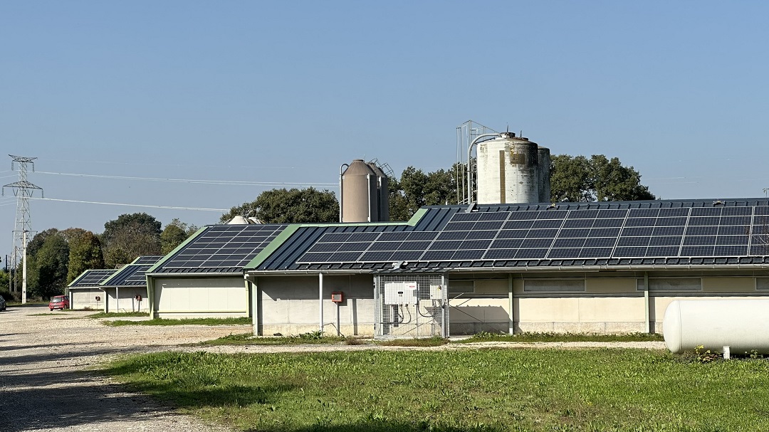 Centrale Besson chaussures