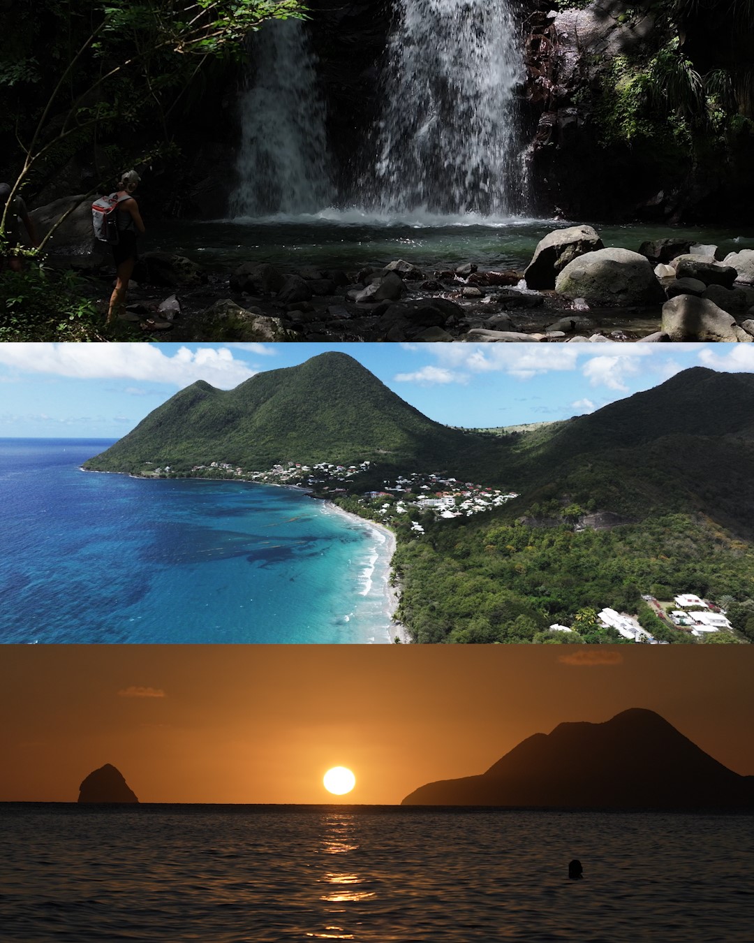 Biodiversité et insertion professionnelle